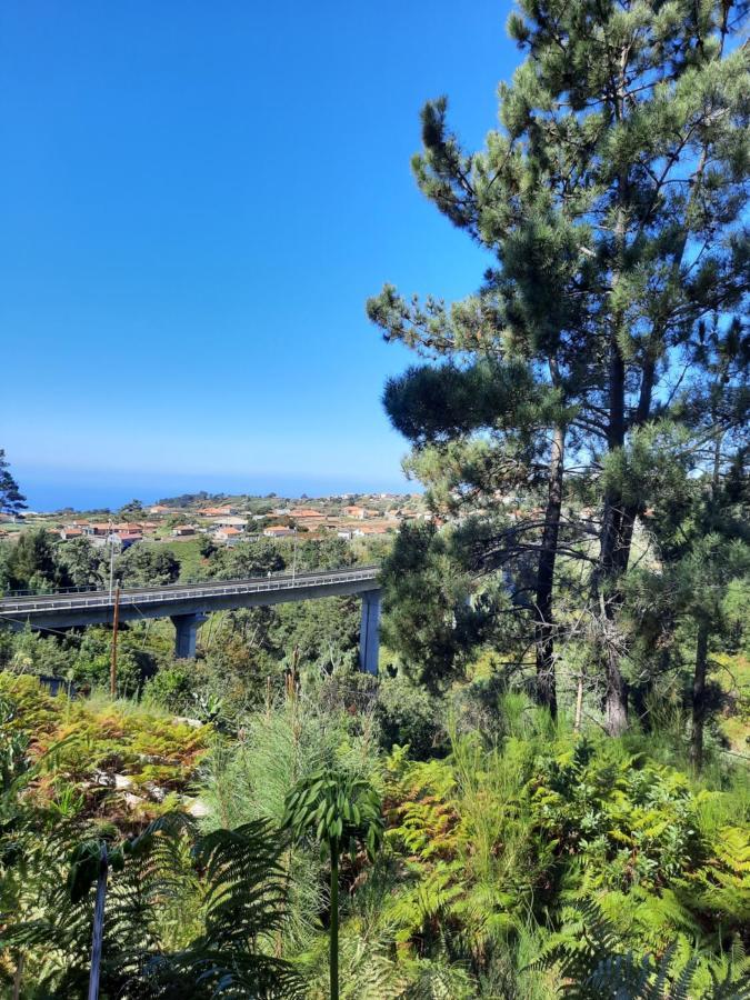 Palheiro Cavalinho Villa Prazeres Bagian luar foto